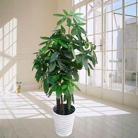 15216862632008824918