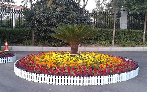 節(jié)日花壇13