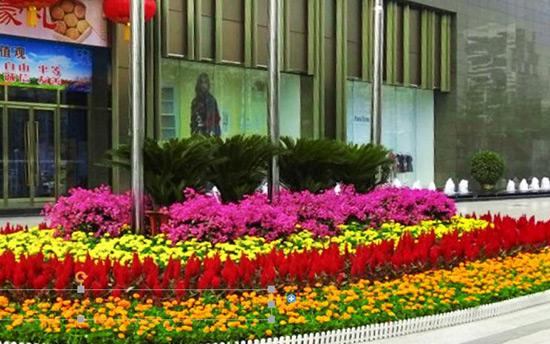 節(jié)日花壇34