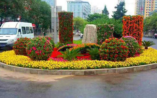 節(jié)日花壇