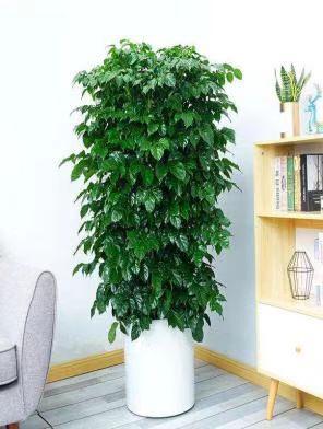 微信圖片_20220520162859