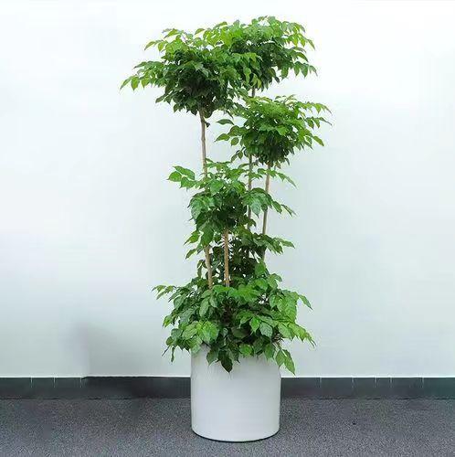 微信圖片_20220520162825