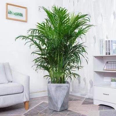 微信圖片_20220520162741