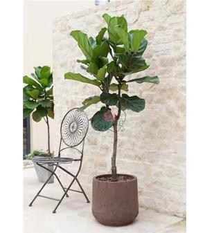 微信圖片_20220520162850