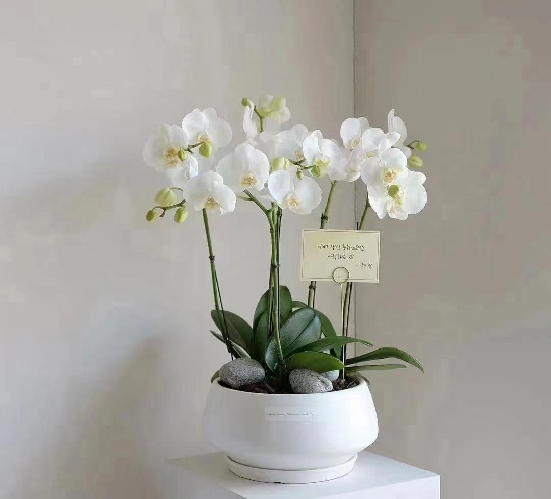 微信圖片_20220702064111