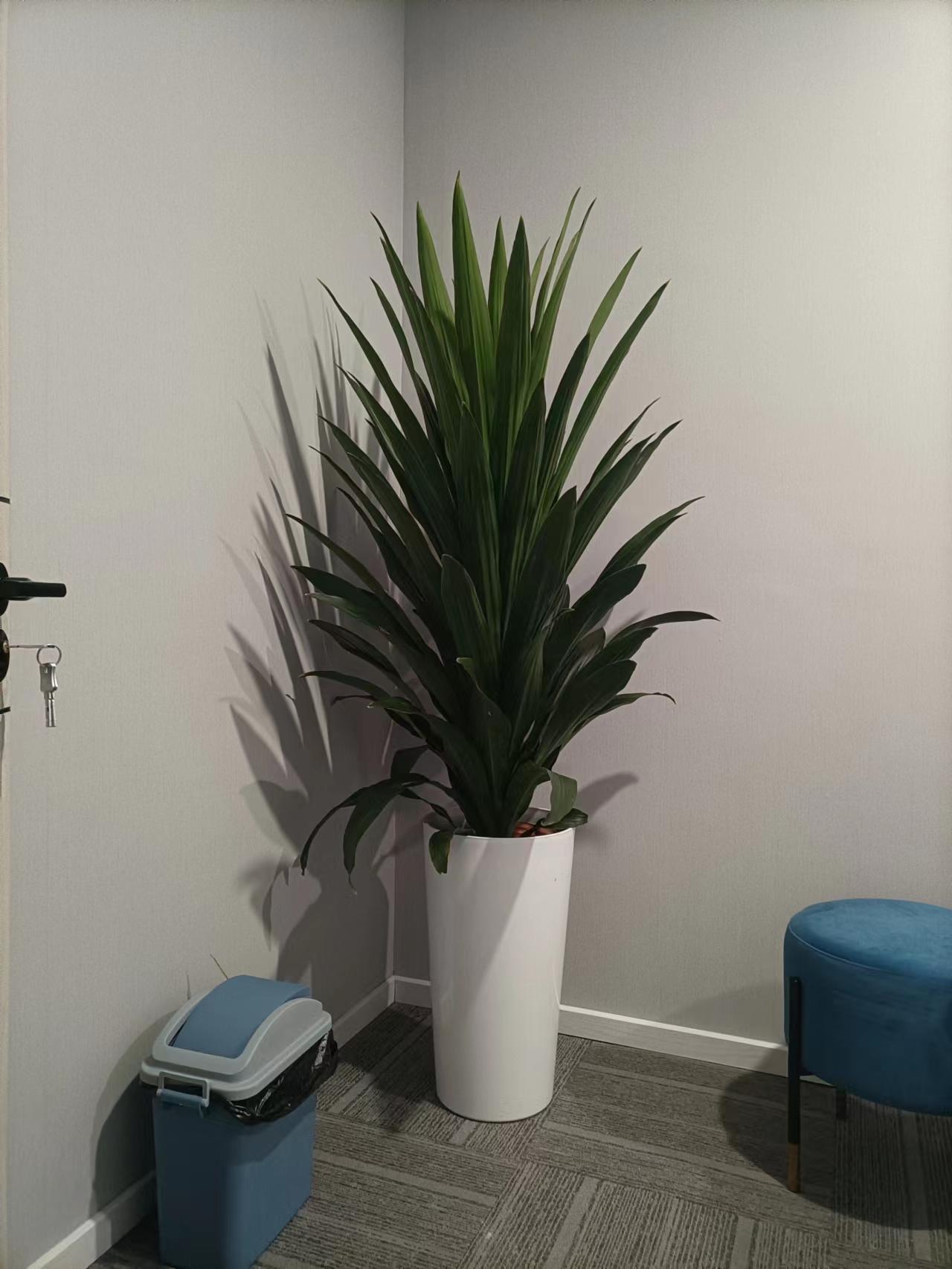 微信圖片_20220901175031