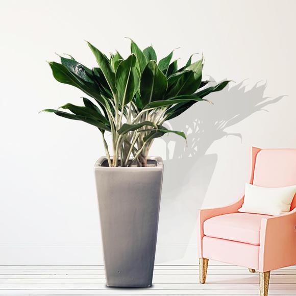 src=http___img_yzcdn_cn_upload_files_2018_06_07_Frpgd7WV1P_YheCdVZSDdZzr_2Dc_jpg_imageView2_2_w_580_